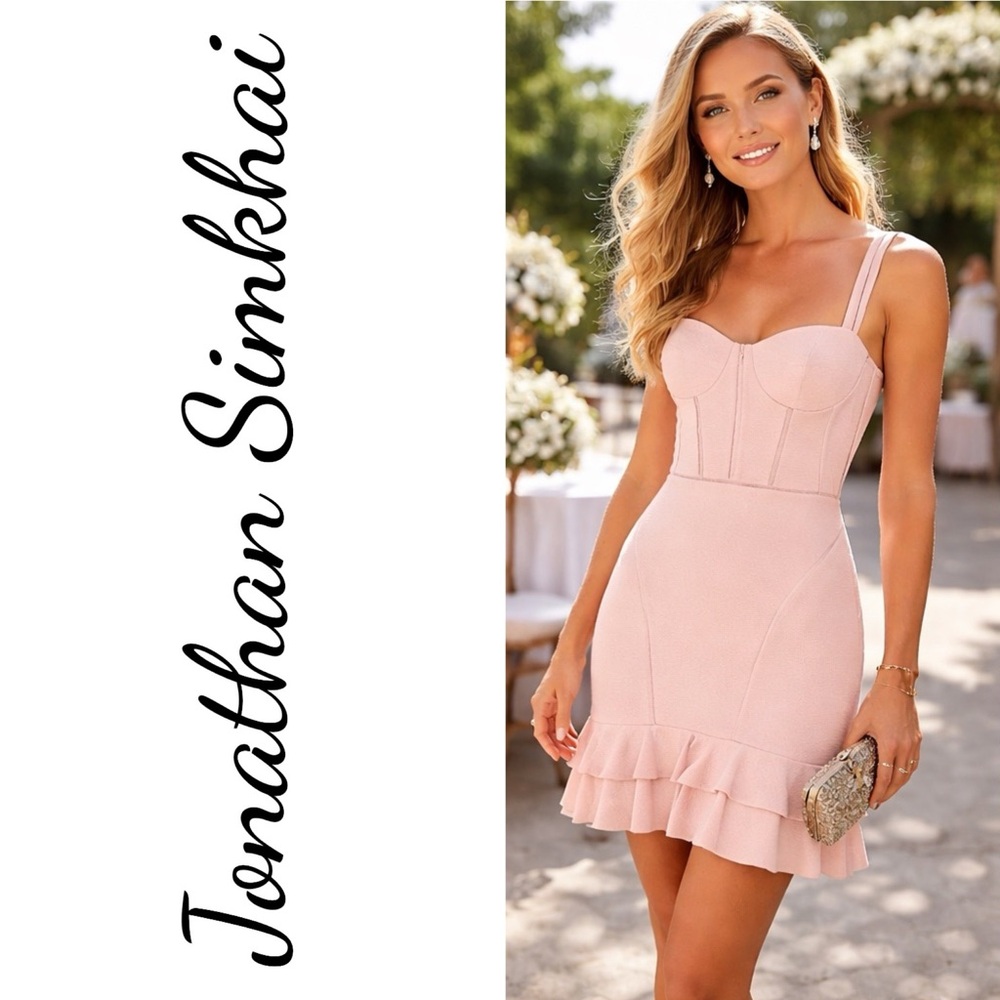 Jonathan Simkhai Blush Corset Mini Dress Romantic Wedding Quiet Luxury Size 4